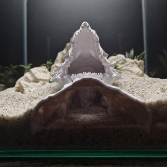 Drachen-Design Aquarium-Höhle 3D-gedruckter Fischtunnel Versteck unter Kies Tunnel mit Sichtfenster