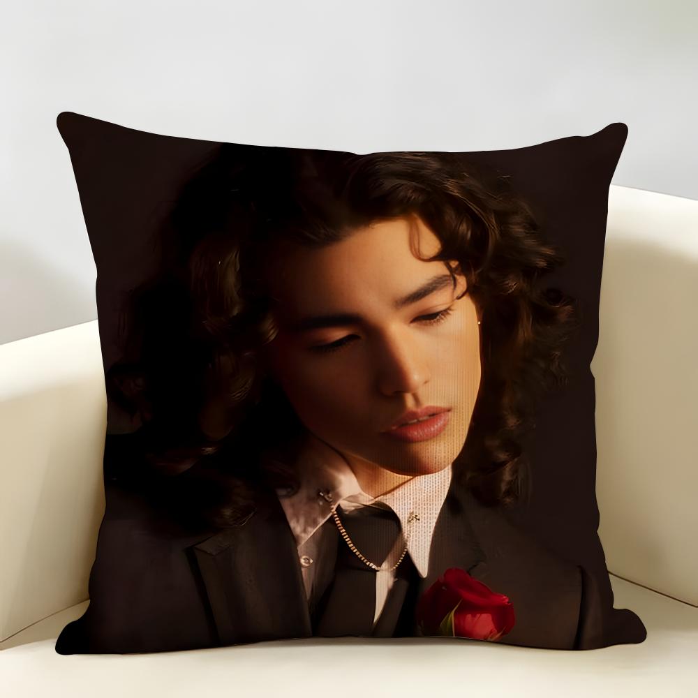 Singer CConan GGray Cushion Cover Natural Linen Organic Fabric DoubleSided Printing Room Sofa Decor Pillow Case