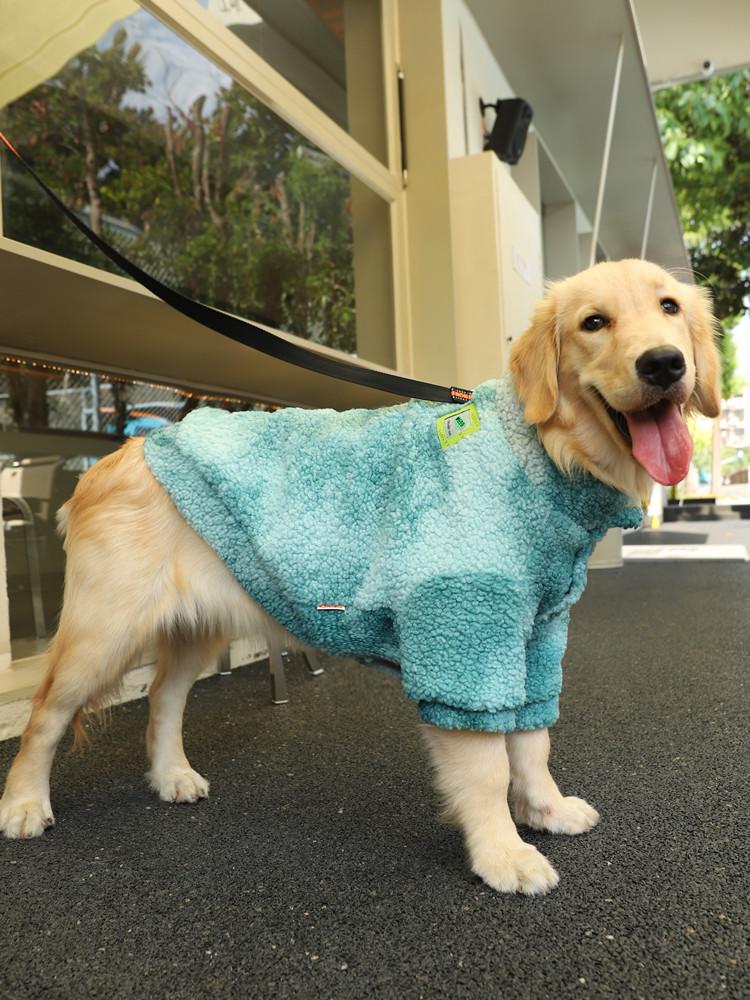 Autumn & Winter Clothes for Large Dogs: Labrador, Samoyed, Border Collie, Golden Retriever