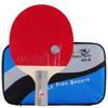 Double Fish 4-Star Straight Grip Table Tennis Bat