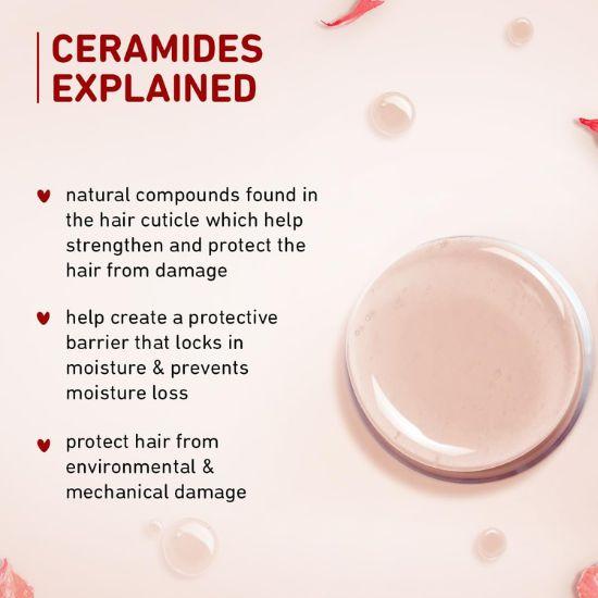 Plum Hibiscus & Ceramides Shampoo | For Silky, Smooth, Long Hair | Shampoo for Women and Men | 250ml