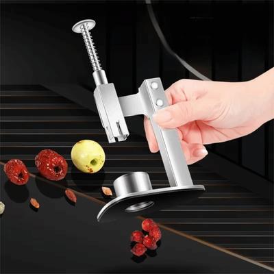 Multifunctional Manual Stainless Steel Red Dates Corer Labor-Saving Press Type Jujube Pitter Non-slip Base Cherry Pitter Cooking
