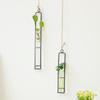 Thickened Hanging Glass Planter Wall Hanging Glass Vase Creative Test Tube Vases  Home Decoration