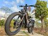 LANKELEISI MG800 MAX Electric Bicycle 1000W*2 Samsunga 48V 20Ah 48km/h 130KM Grey