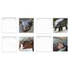 2025 Hippo Wall Calendar Monthly Pygmy Hippo Images Calendar Hanging Hippo Calendar Gift for Family Friends Animal Lover