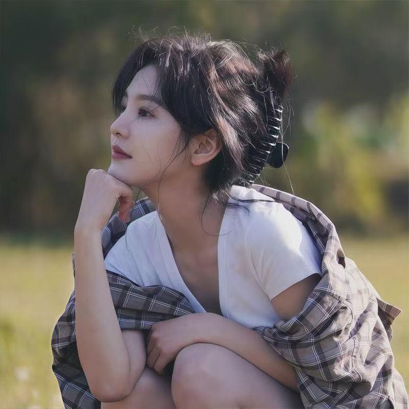 Silicone Matte Shark Hair Clip for Voluminous Updo - High-End Fine Hair Accessory