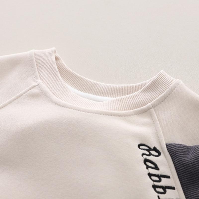 Autumn and Winter Boys Clothing Set New Children's Korean Edition Hooded Sweater Pants Two piece Set Girl Baby Velvet Set