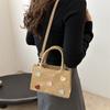 Casual Portable Work Small Bag, Popular Small Bag This Year, Women's 2025 Summer New Simple and Fashionable Messenger Bag