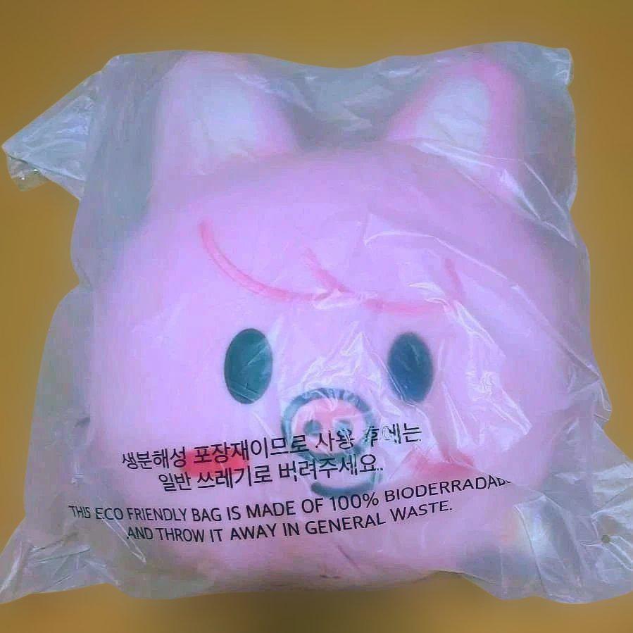 

[USED] SKZOO CUSHION BABY Ver. Toekki Changbin
