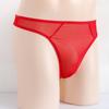 Mesh Briefs Sheer See-Through T-back Thong Underpants