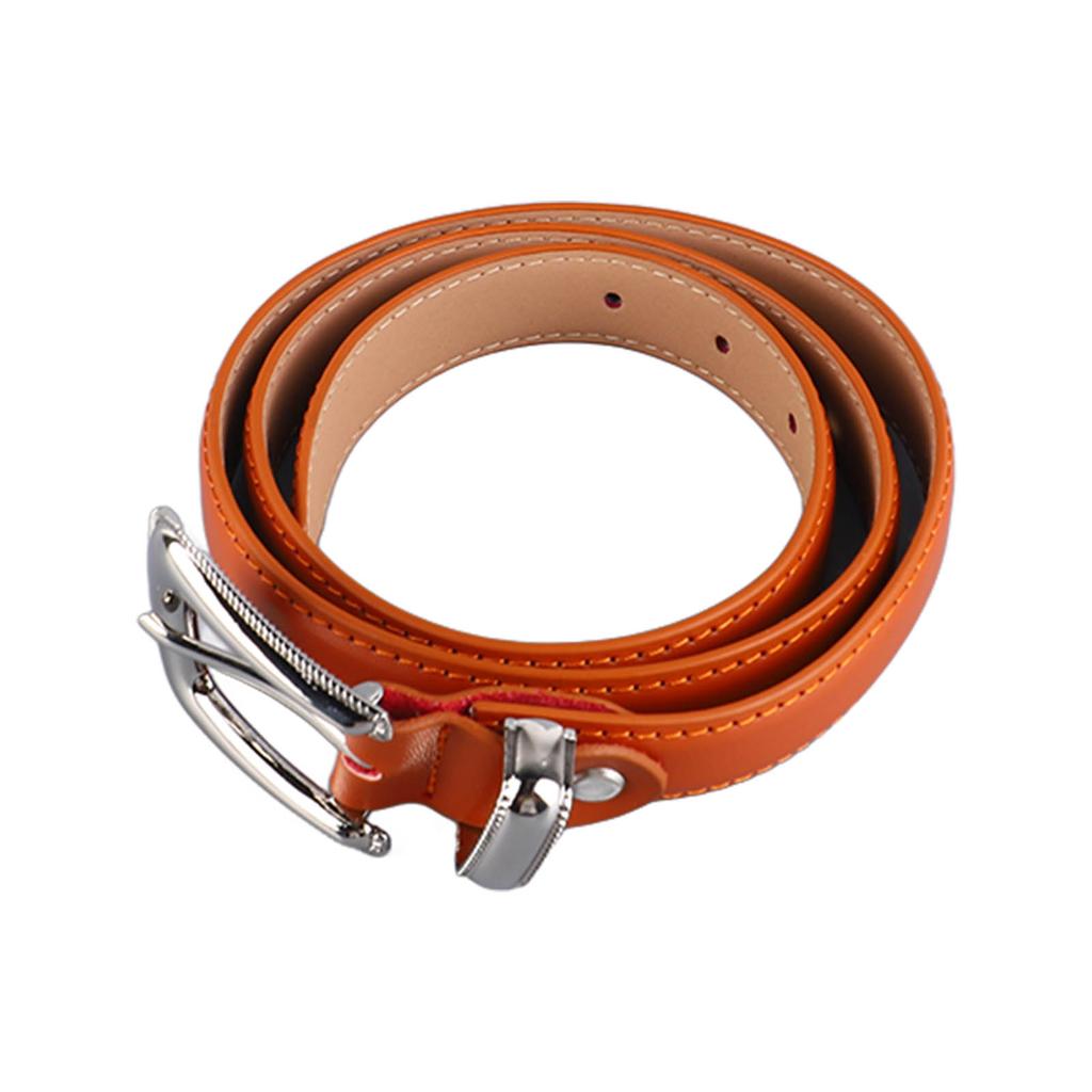 Waist Belt Ladies Fashion Leather Belt Alloy Buckle Waist Belt Clothing Accessories