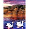 5D DIY Diamond Painting Dusk View Diamond Embroidery Swan Animal Cross Stitch Full Round Drill Manual Art Home Decor Gift