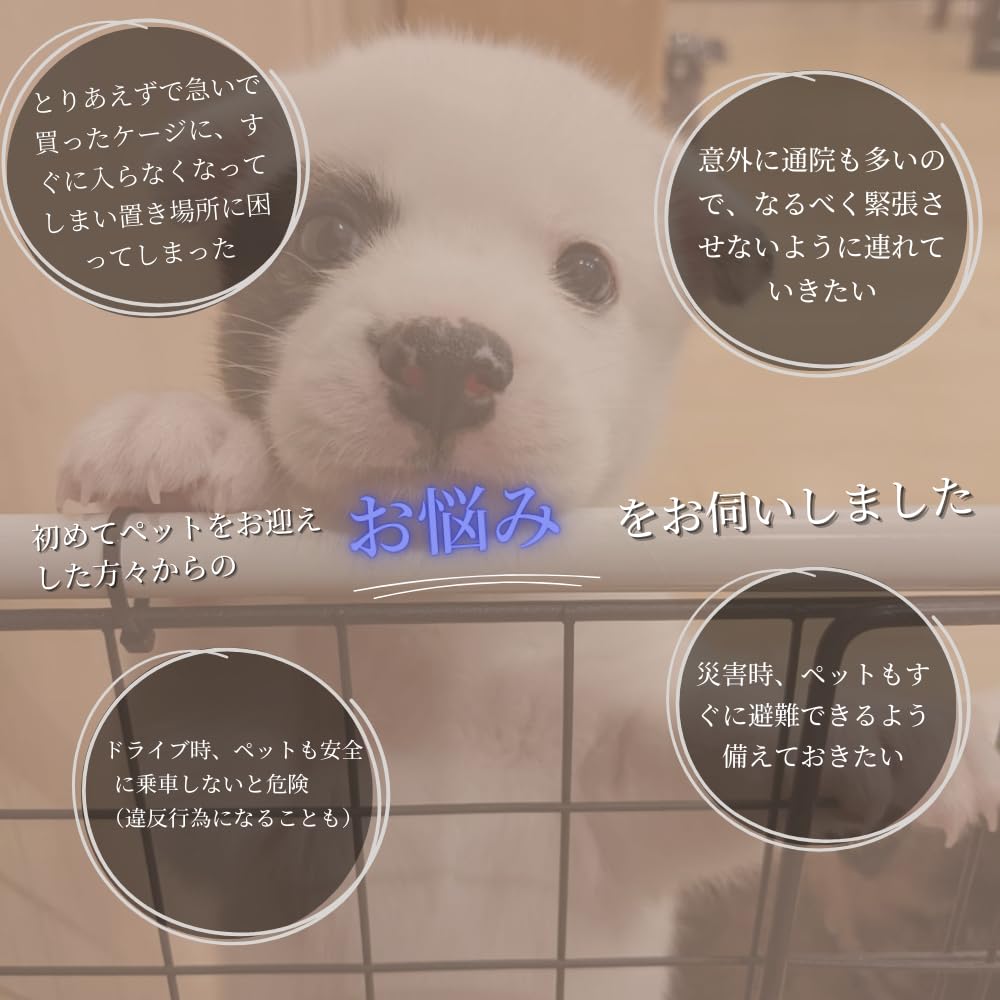 Fortune Smile Folding Pet Cage and Carry Bag with Anti-Tamper Toy (XL)