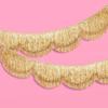 Double Layer Fringe Fringe Banner Fan Streamer Shape