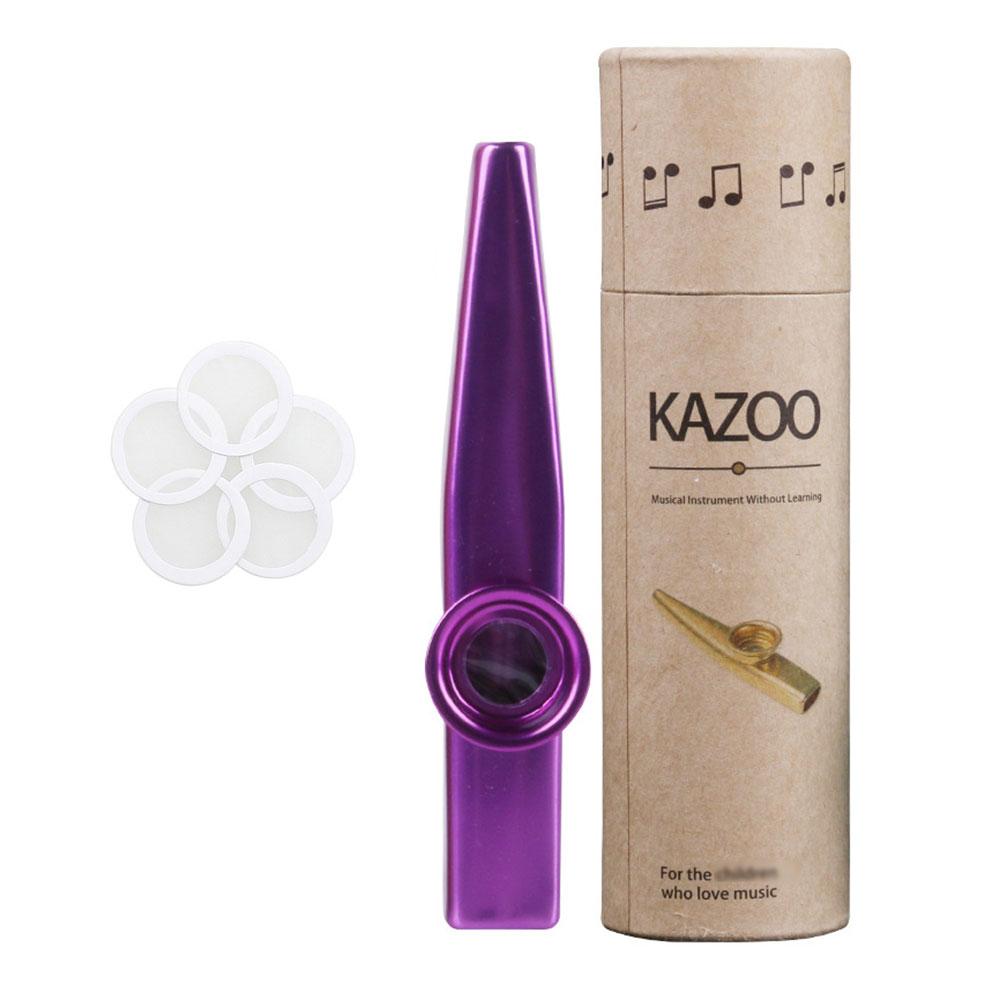 Exquisite Aluminum Alloy Kazoo with Storage Box- Suitable for Beginners Musical Instruments