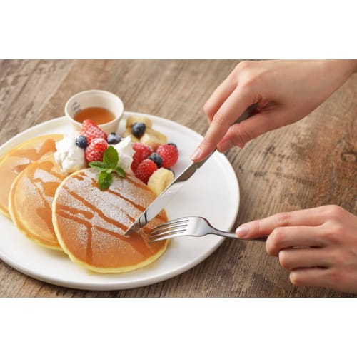 Yoshikawa Steak Knife & Fork Set SJ3558