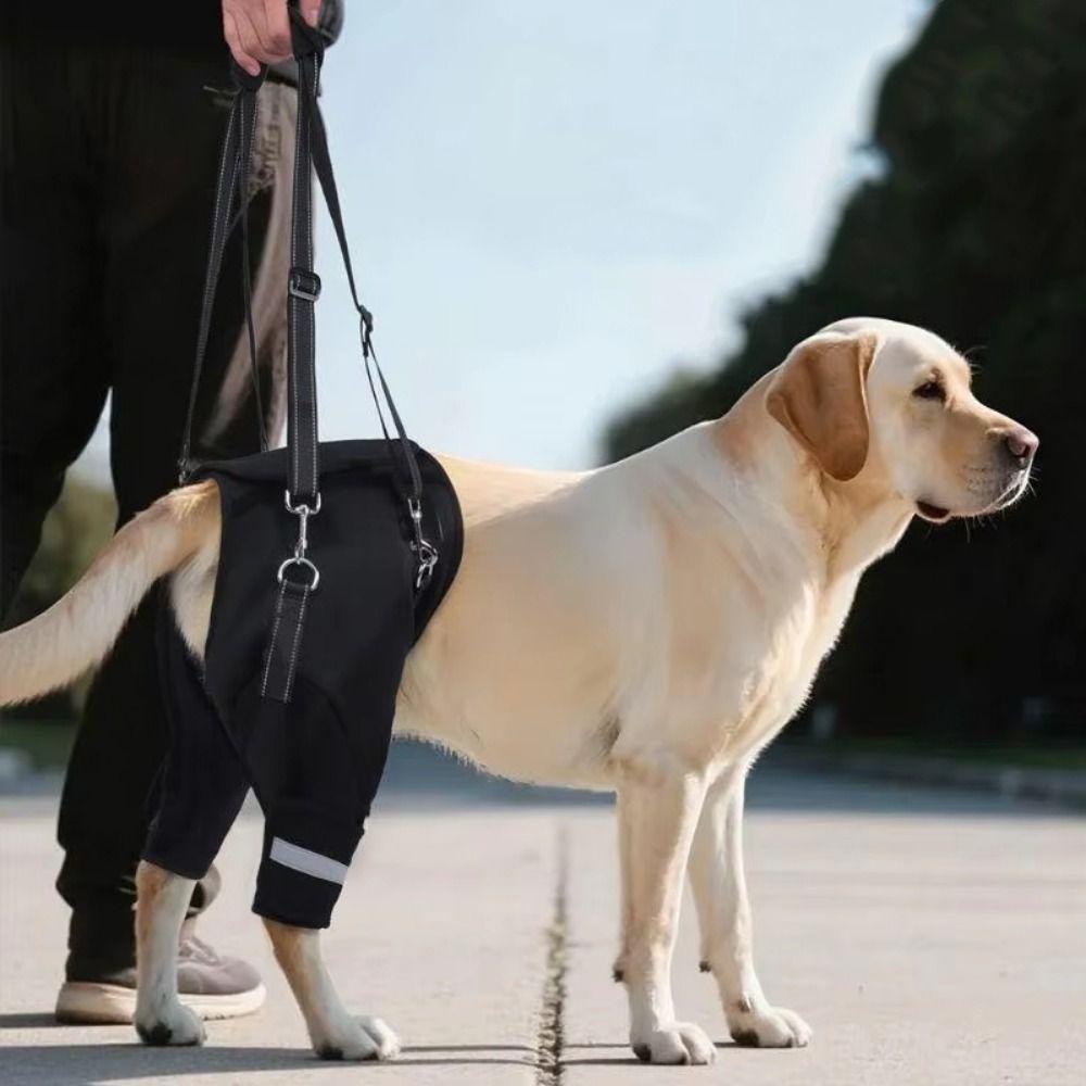 Pantaloni Supporto Anca Cane Imbracatura di Sollevamento Manico Robusto Nero Strumento di Assistenza Animale Domestico Supporto per Zampe Posteriori Cane Imbottito Morbido Regolabile