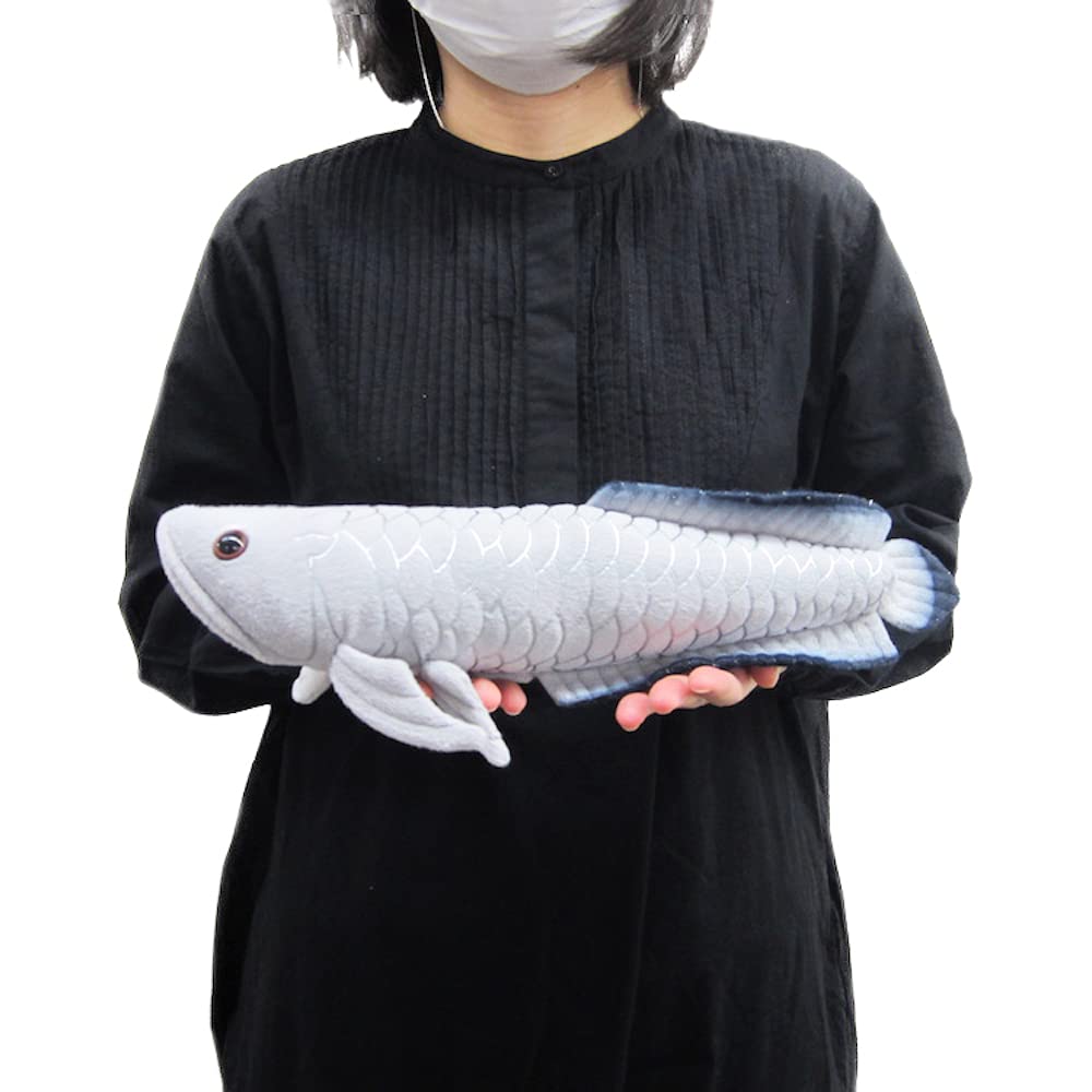 TST Advance Exciting Picture Book Silver Arowana 35cm <Freshwater>
