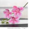 Silk Material Faux Flower 55cm Length Simulated Orchid  Living Room Decoration