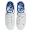 Nike Sb Blazer Low Pro Gt Premium Fine China Skateboard Shoes FZ1300-100