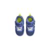 Nike Court Borough Low 2 SE Lil Fruits TD DM1471-400