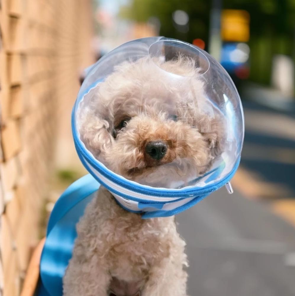 Anti-Leck- und Beiß-Elizabeth-Kragen für kleine Hunde - Vertiefte Kopfbedeckung Maulkorb zum Spazierengehen