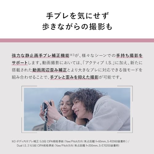 Panasonic LUMIX DC-S9M-N Full-Frame Mirrorless Camera Kit Wide-Angle Zoom Lens Titanium Gold