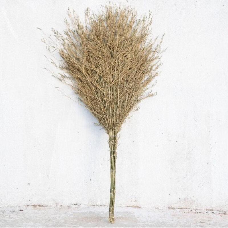 JingMian Large Bamboo Broom