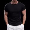 2024 Men's Semi-Tight Henley Fitness Shirt - Solid Color Striped Stretch Short Sleeve Athletic Top