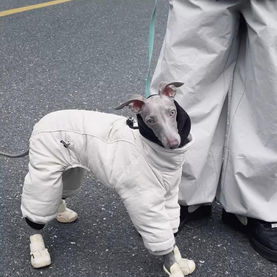 Winter Dog Jumpsuit for Italian Greyhound