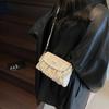 Niche Bag Women's New Summer Fashion Versatile Chain Shoulder Messenger Bag Pleated Bag