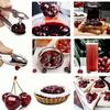 Red Jujube Cherry and Date Pitter – Stainless Steel Pit Remover Tool