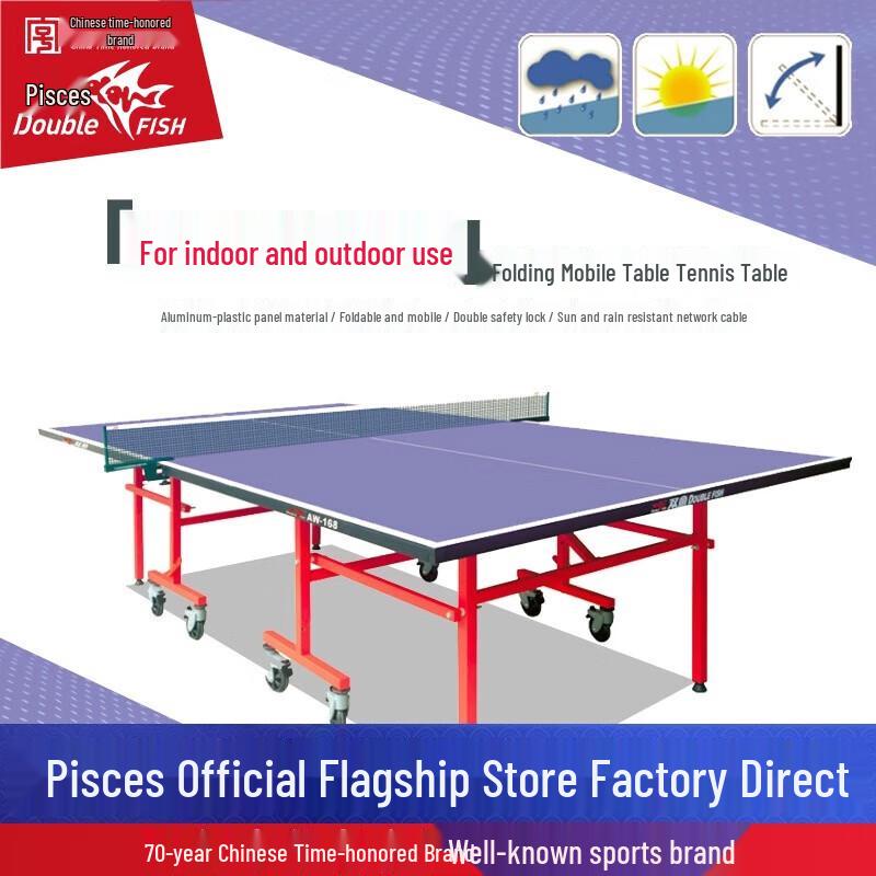 

Double Fish AW-168 Folding Table Tennis Table
