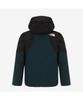 The North Face Nj2Gs02B Men'S Mera Peak Gore-Tex Pro Jacket Dark Green