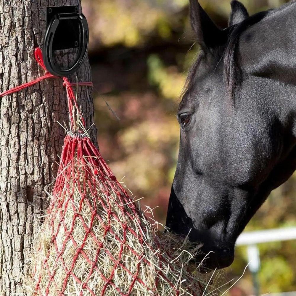 Iron Horse Tie Down Ring Solid Horse Hitching Ring Horse Supplies Horse Safety Tie Ring Stall