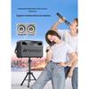 SANSUI G12 High-Power Outdoor Bluetooth Karaoke Speaker