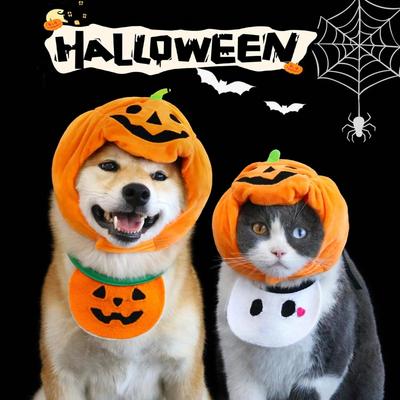 Kedi – Kediler için giyim