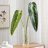 Lifelike Artificial Calla Leaves Green Plants Artificial Arrowroot Leaf  Home Decor