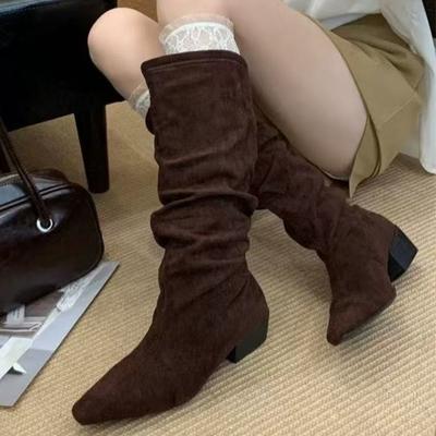 Suede Women Chunky Knee High Boots Mid Heels Fashion Walking Shoes  Winter New Trend Goth Casual Woman Chelsea Long Botas