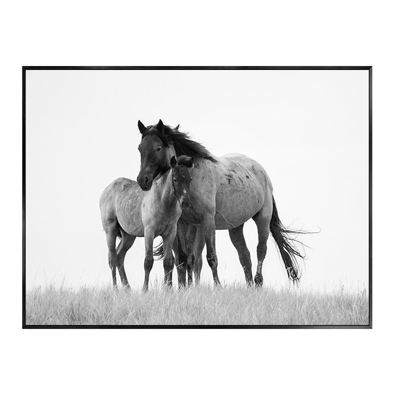 Monstera Leaf Green Plant Poster Animal Lion Leopard Horse Photos Nordic Decorative Paintings Canvas Wall Art Picture Home Decor