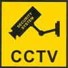 Dummy Outdoor Surveillance Camera, Flashing Led Light, Security System Sticker, Realistic!
