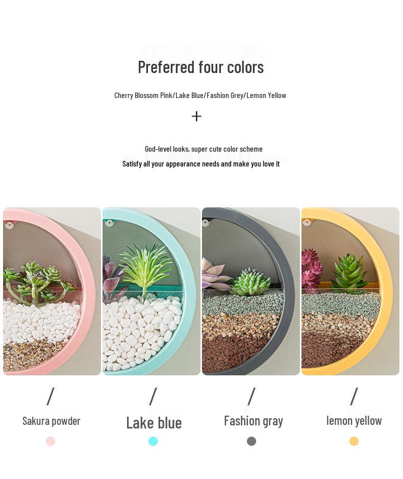 Nordic Wall-Mounted Round Pothos Planter: Creative Green Plant Decor & Fish Tank for Living Room