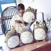Cartoon Cute Creative Expression Chinchilla Pillow Down Cotton Plush Toy Doll Children's Sleeping Gift