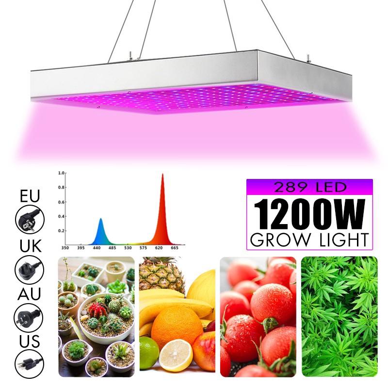 

1200 Вт Лампы для выращивания Светодиодный светильник для выращивания 289 светодиодов Полный спектр для теплицы Комнатный Гидропонный Растение Рассада Цветок eu