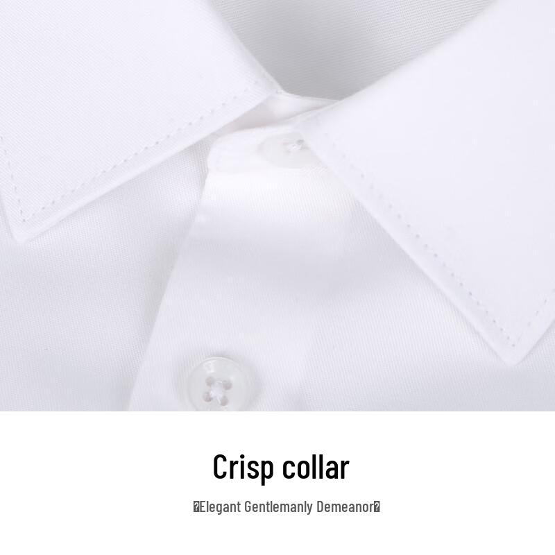 Caizi Men's Modal Blend Long-Sleeve Business Casual Shirt