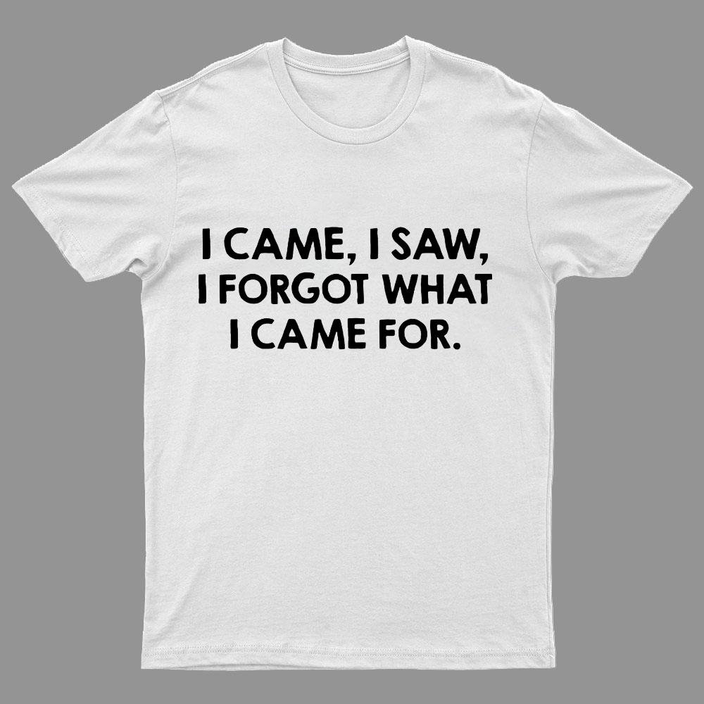 I Came and Saw Funny Geeky T-Shirt