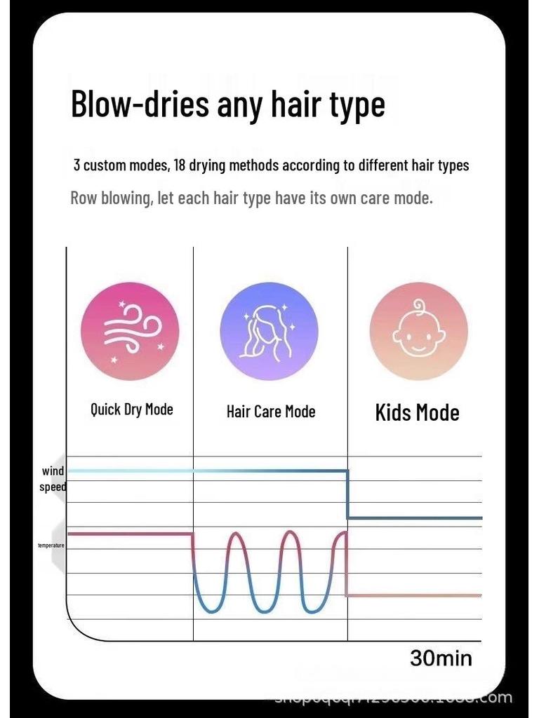 Certainson Hollow Leafless Haartrockner mit Negativ-Ionen und 3 Luftstromstufen für Salon- und Heimgebrauch