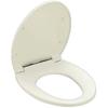TOTO Regular Toilet Seat Large Size Pastel Ivory TC291Y #SC1DIY with Installation Tools]