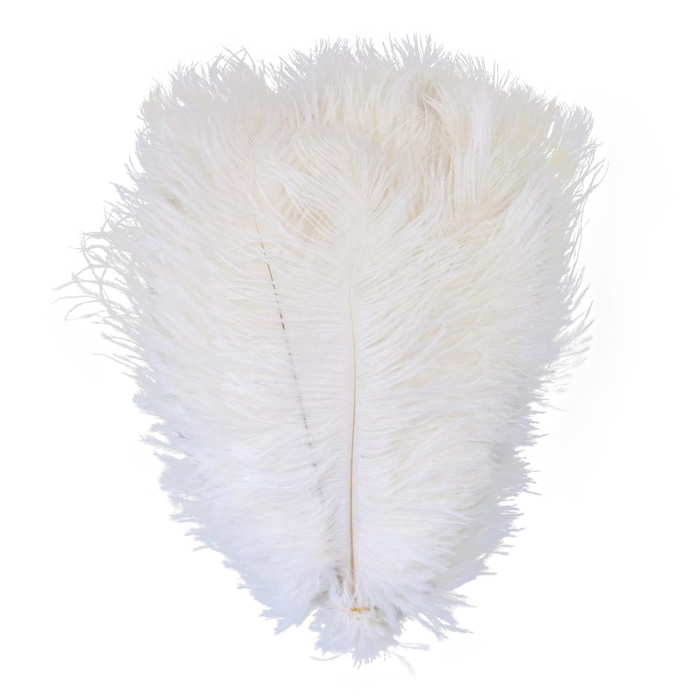 10Pieces Natural Ostrich Feather Wedding Home Decoration 15-20cm25-30cm30-35cm For Party Ostrich Plumes Centerpiece Diy Crafts