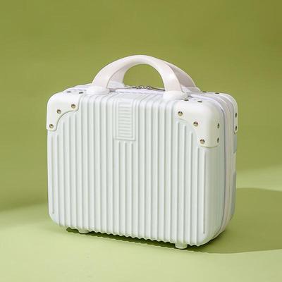 Portable Travel Cosmetic Carry-on Case